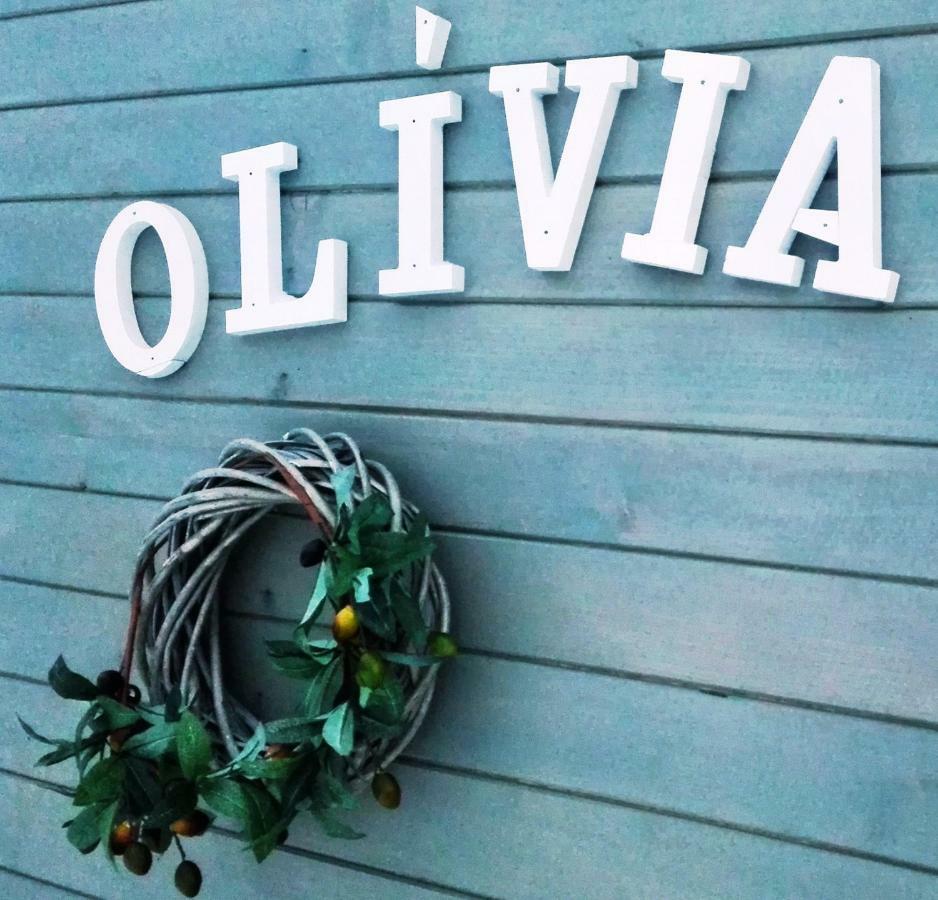 Ferienwohnung Tiny House Olivia Liptovský Hrádok Exterior foto