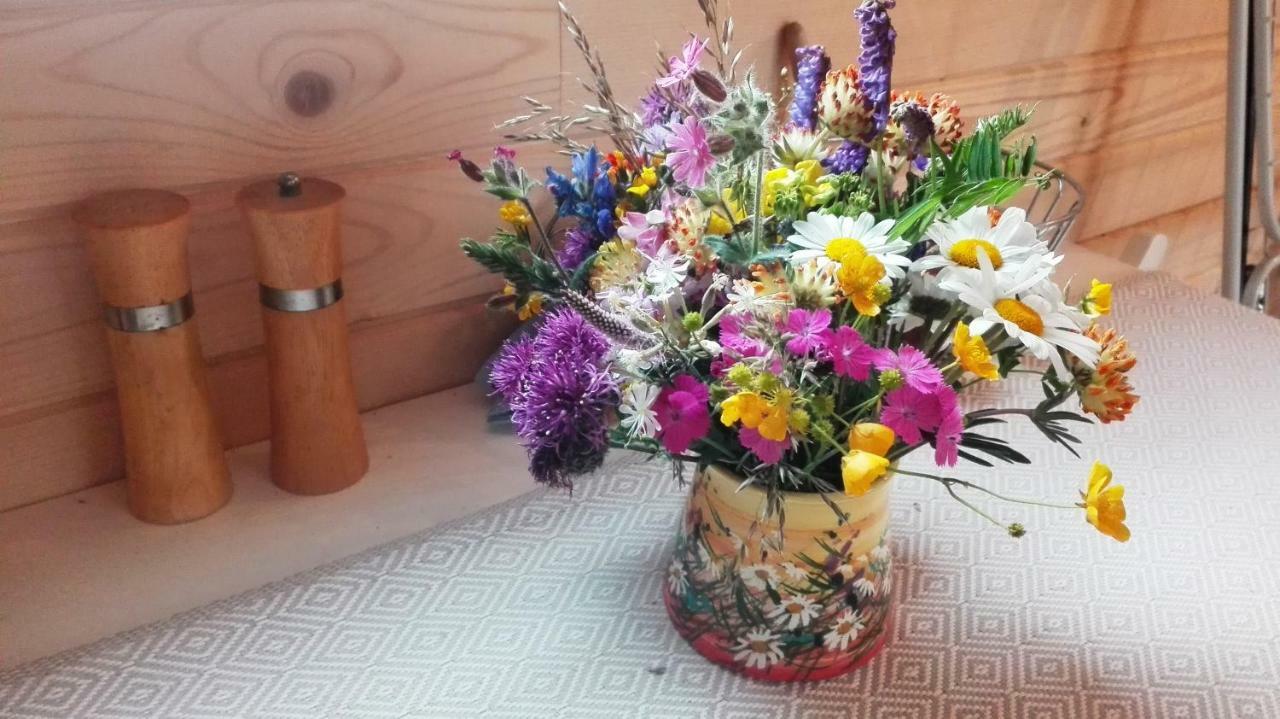 Ferienwohnung Tiny House Olivia Liptovský Hrádok Exterior foto
